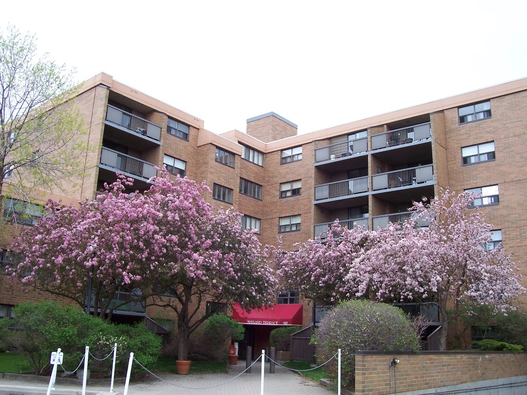 Mayland Terrace